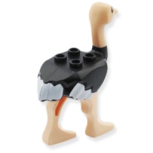 画像2: ダチョウ (2)