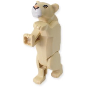 画像3: ライオネス(タン) (3)