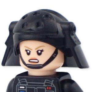 画像2: インペリアル・イミグレーション・オフィサー (2)