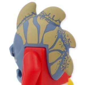 画像2: ヘッド（ジョーソン） (2)