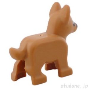 画像2: ジャーマン シェパード・子犬(ミディアムヌガー) (2)