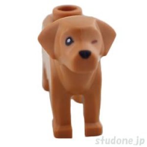 画像2: ゴールデン・レトリバー（ミディアムヌガー） (2)