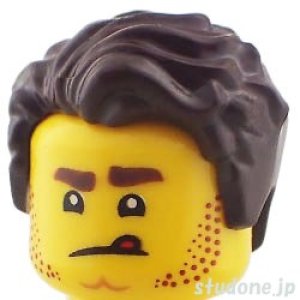 画像3: ハール・ハブス(スタントクルー) (3)