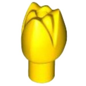 チューリップ（イエロー）