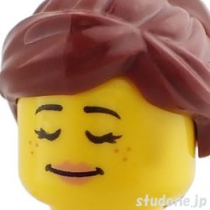 画像3: トレイン パッセンジャー・スウェットシャツ/ジッパー (3)