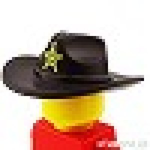 画像1: フェルトハット・ワイドブリム（ダークブラウン・ゴールドスター） (1)