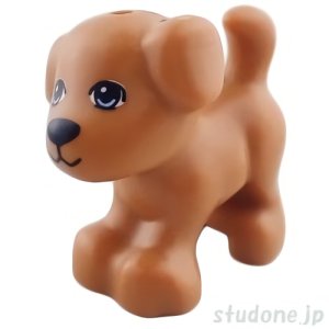 画像1: フレンズ・子犬（ミディアムヌガー） (1)