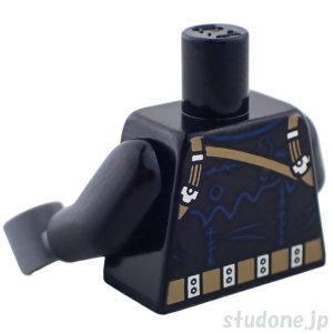 画像2: トルソー（レイヴン） (2)