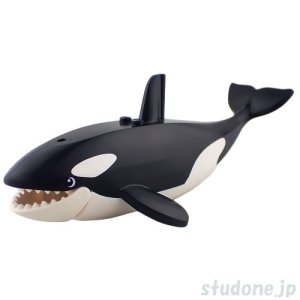 画像1: シャチ (1)