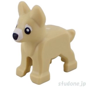 画像1: ジャーマン シェパード・子犬（タン） (1)